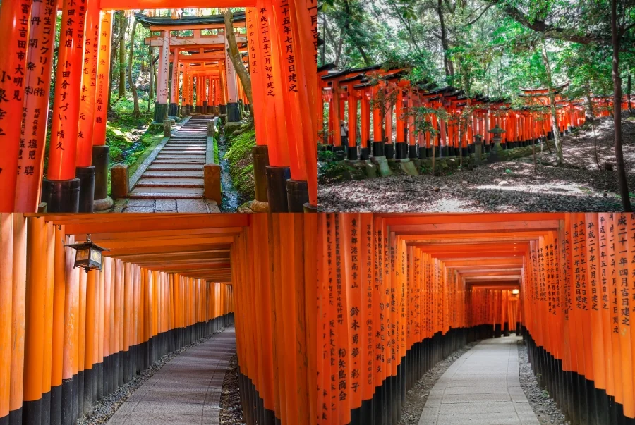Những cổng torii này không được xây cùng thời điểm mà là kết quả của việc hiến tặng kéo dài suốt nhiều thế kỷ