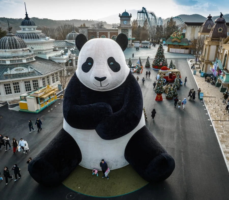 Panda World là một trong những điểm đến hấp dẫn dành cho những ai yêu thích động vật hoang dã