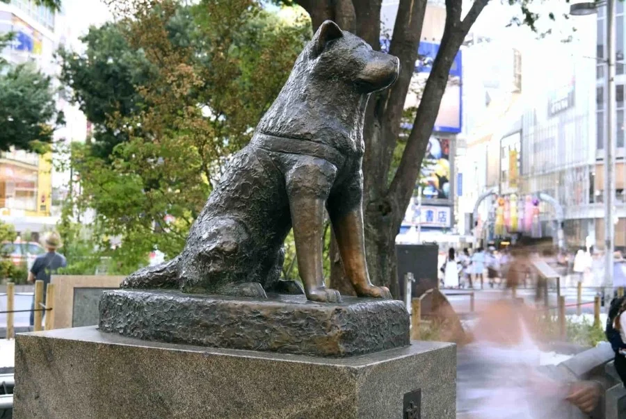 Hình ảnh bức tượng chú chó Hachiko nổi tiếng