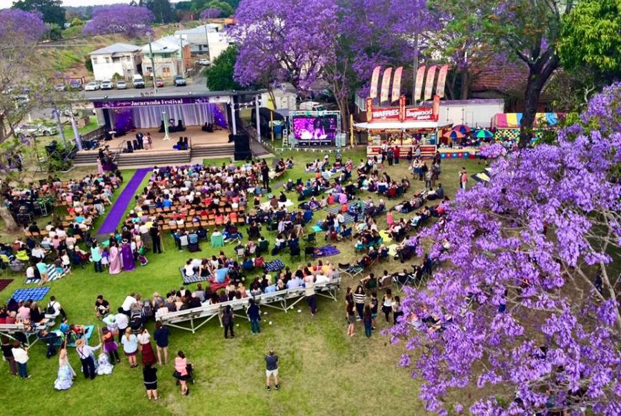 Lễ hội Jacaranda sở hữu lượng lớn khách du lịch tới tham quan và trải nghiệm