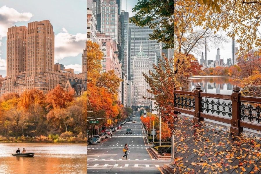 Mùa thu New York rực rỡ sắc vàng cam đỏ làm say đắm trái tim mọi du khách