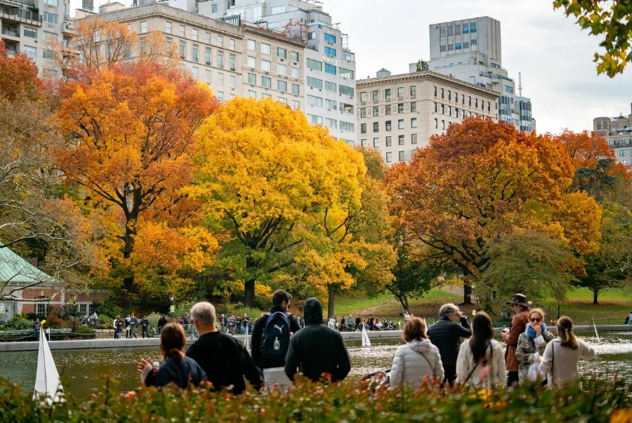Công viên New York càng trở nên rộn ràng hơn khi vào thu