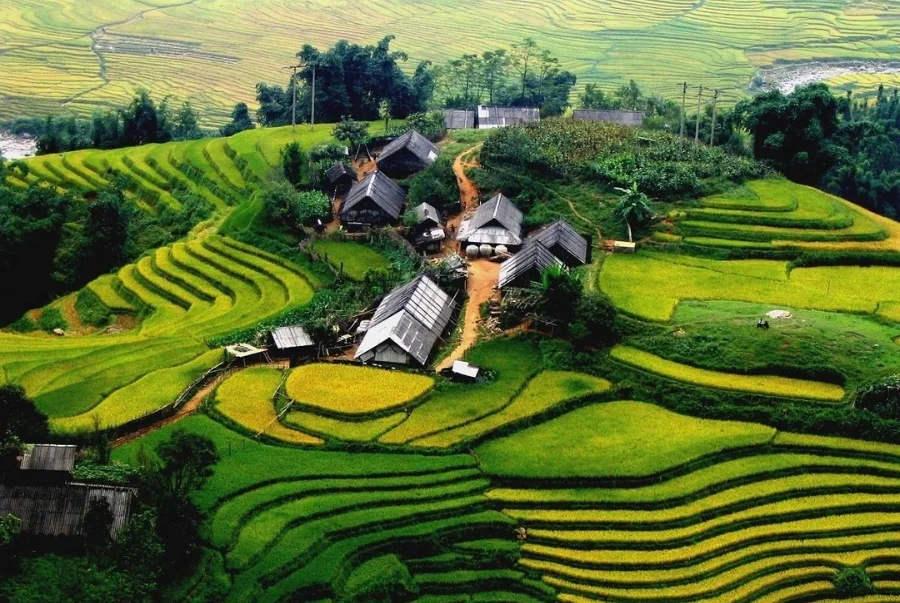 Ruộng bậc thang Tegallalang xanh mướt uốn lượn quanh triền đồi tạo nên khung cảnh vô cùng hùng vĩ