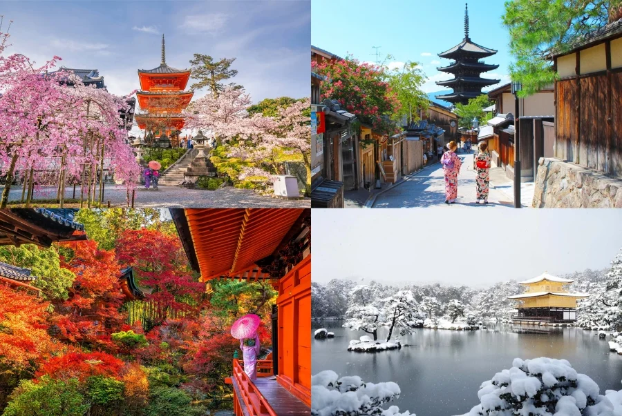 Kyoto nằm trong vùng khí hậu ôn đới với bốn mùa phân hóa rõ rệt