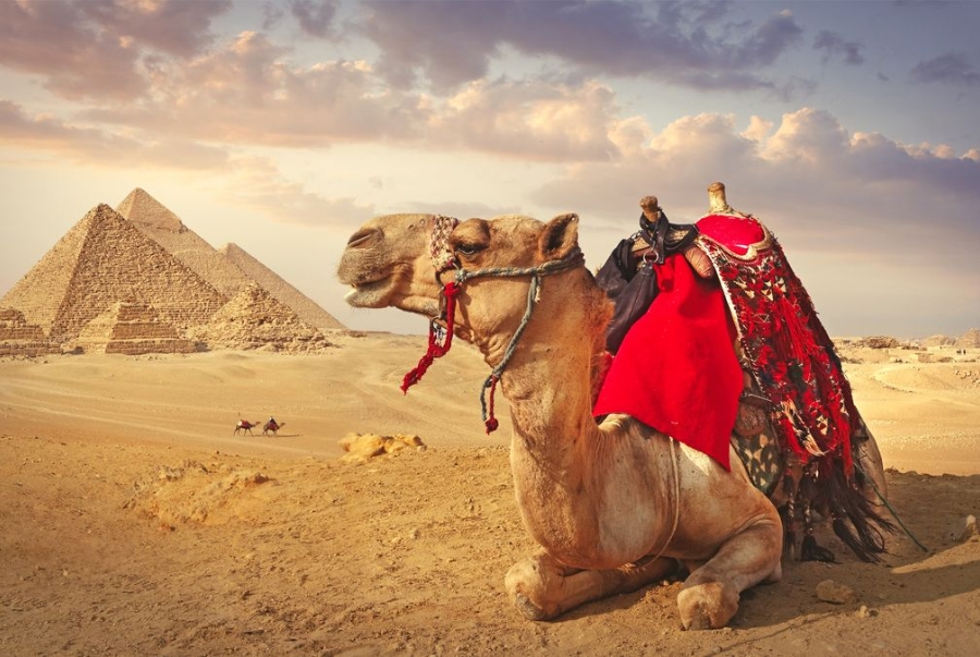 Ai Cập là vùng đất của những kim tử tháp kỳ vĩ và nền văn minh cổ xưa hơn 5000 năm tuổi