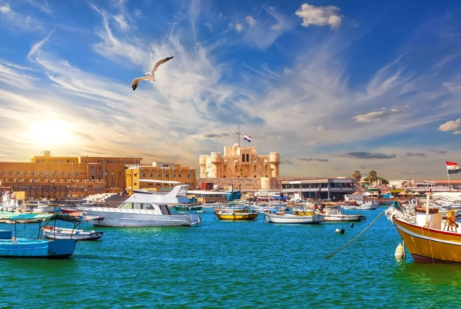 Alexandria được mệnh danh là viên ngọc của Địa Trung Hải