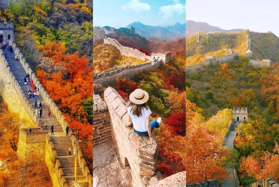 Vạn Lý Trường Thành đắm chìm trong sắc đỏ của mùa thu Bắc Kinh