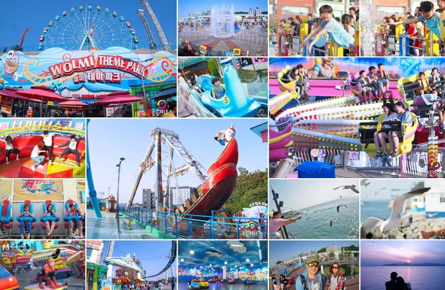 Nếu bạn tìm kiếm những trải nghiệm vui chơi giải trí sôi động thì Wolmi Theme Park là sự lựa chọn lý tưởng