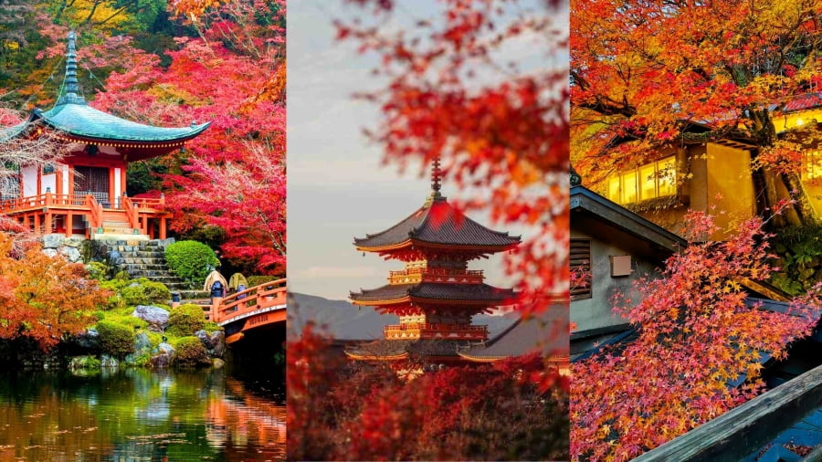 Kyoto luôn là điểm đến hàng đầu cho những ai muốn hòa mình vào sắc thu cổ kính