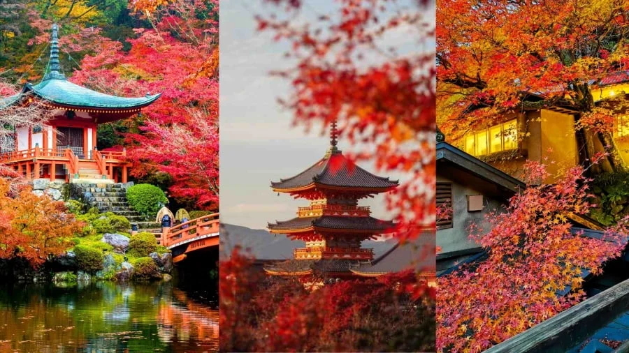 Kyoto luôn là điểm đến hàng đầu cho những ai muốn hòa mình vào sắc thu cổ kính