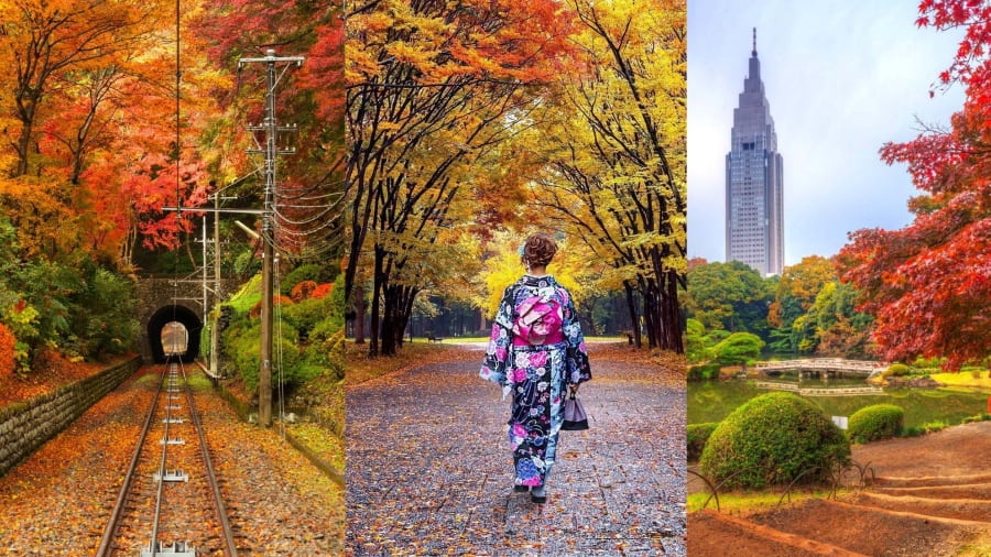 Thủ đô Tokyo là một trong những địa điểm ngắm lá vàng lá đỏ rực rỡ khi đi du lịch Nhật Bản mùa thu