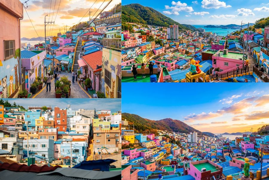 Làng sắc màu Gamcheon hiện lên như một miền nghệ thuật lấp lánh,