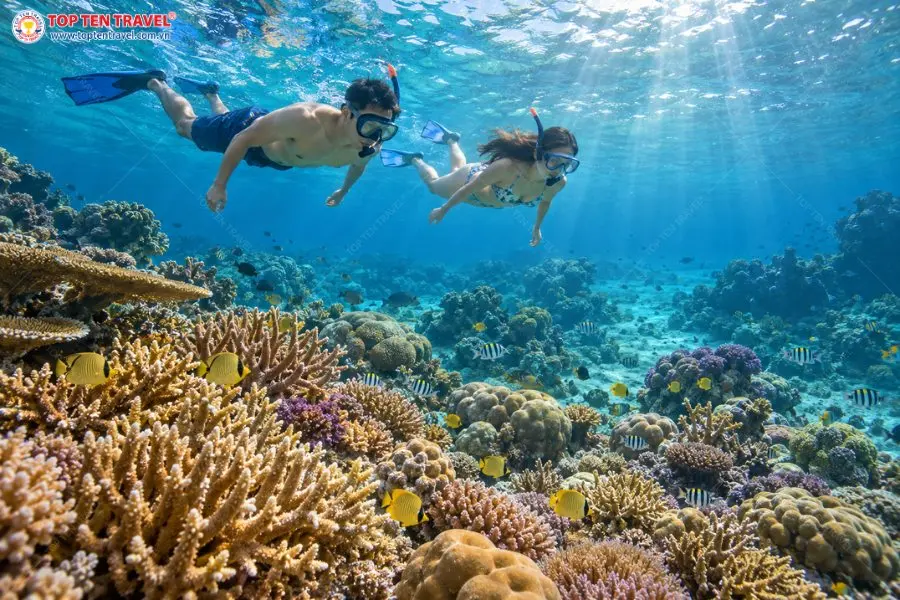 Ngắm nhìn thế giới san hô và những đàn cá đầy màu sắc dưới làn nước biển Andaman