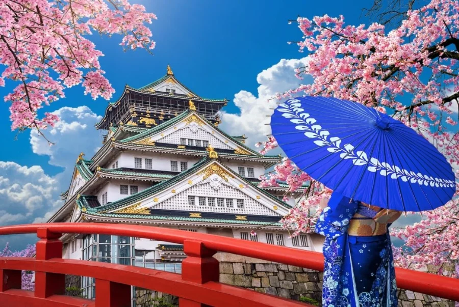 Lễ hội hoa anh đào quanh khu vực lâu đài Osaka với khung cảnh thơ mộng