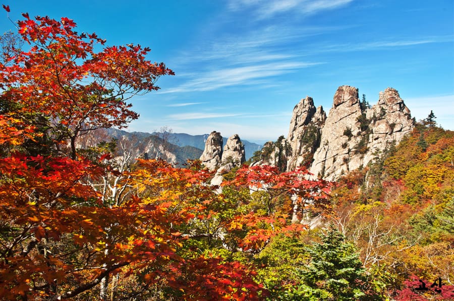 Vườn Quốc gia Bukhansan là lựa chọn lý tưởng cho những ai muốn ngắm lá phong ở ngoại ô Seoul