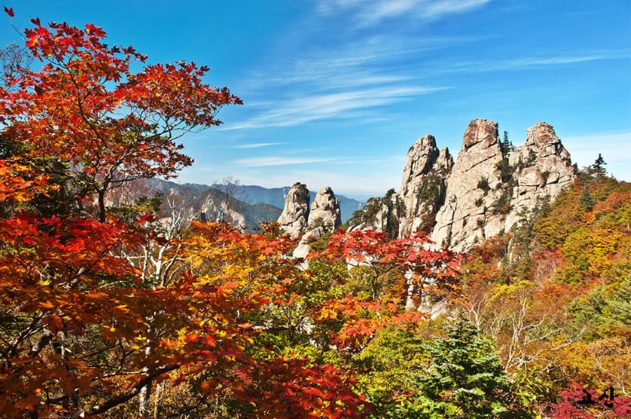 Vườn Quốc gia Bukhansan là lựa chọn lý tưởng cho những ai muốn ngắm lá phong ở ngoại ô Seoul