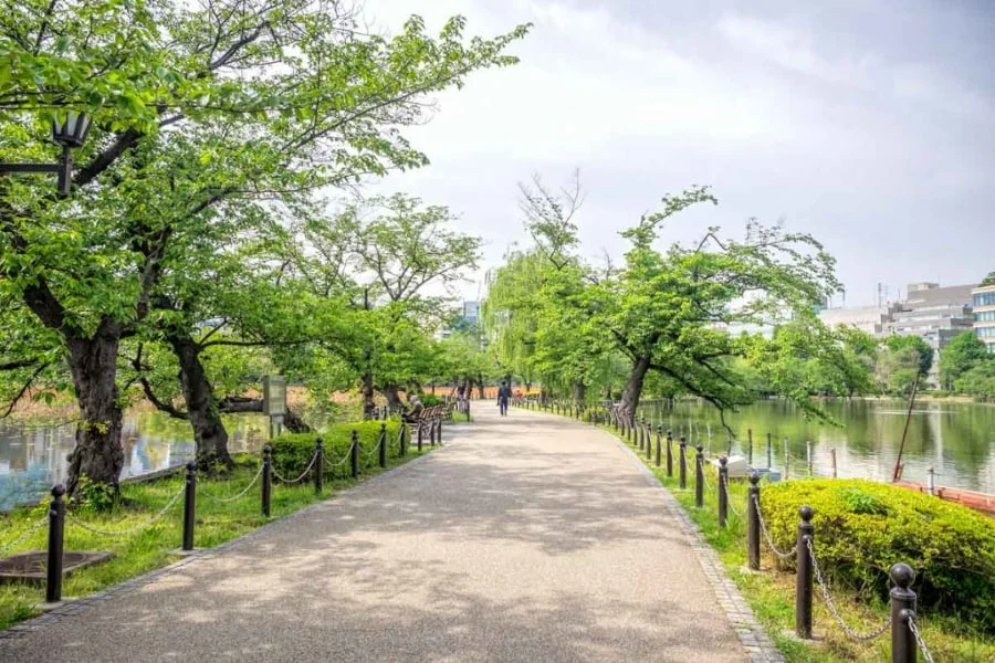 Công viên Ueno hứa hẹn mang đến nhiều trải nghiệm thú vị cho chuyến du lịch Tokyo mùa hè