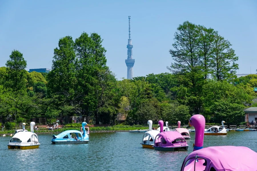 Công viên Ueno – Thiên đường xanh giữa lòng Tokyo là điểm đến lý tưởng cho mùa hè sắp tới tại Nhật Bản
