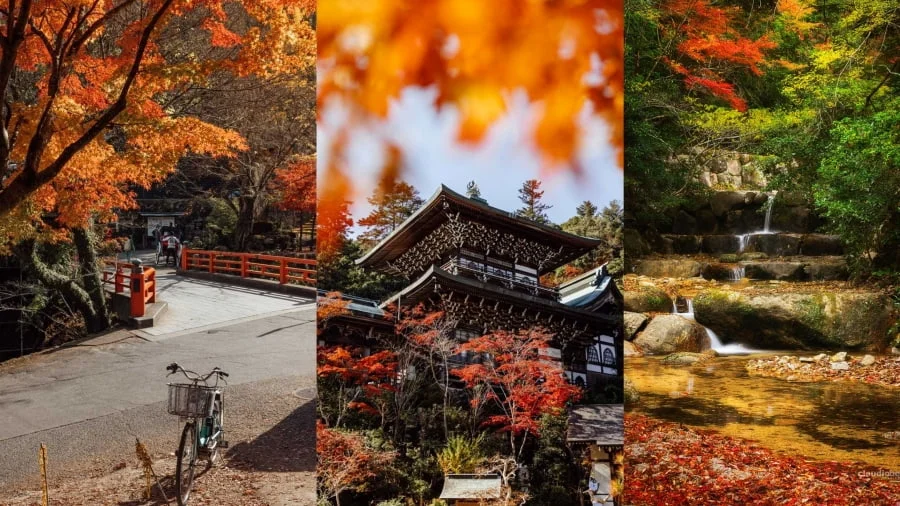 Đảo Miyajima là một địa điểm ngắm lá đỏ tại Nhật Bản vô cùng quyến rũ vào mùa thu