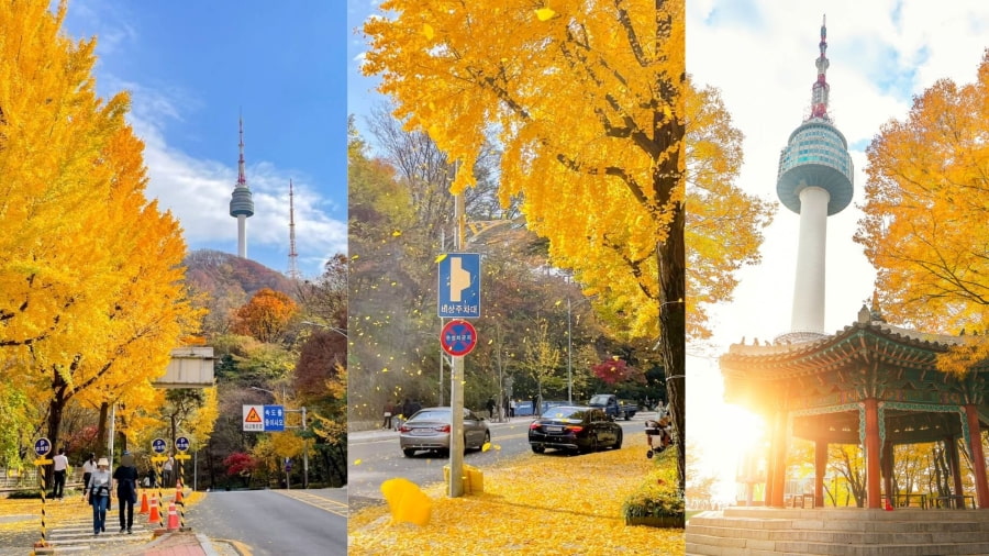 Để có cái nhìn toàn cảnh về bức tranh mùa thu Seoul rực rỡ, không đâu lý tưởng hơn Tháp N Seoul trên đỉnh núi Namsan