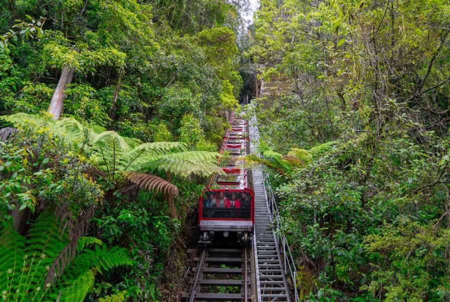 Scenic Railway là biểu tượng của sự giao hòa tuyệt vời giữa sáng tạo con người và vẻ đẹp nguyên sơ.