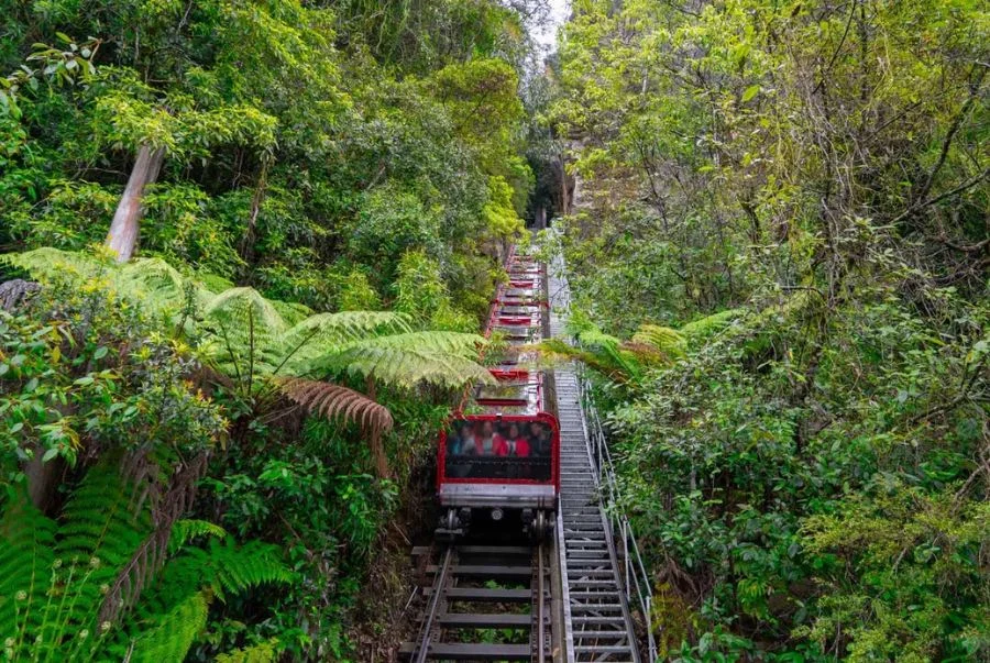 Scenic Railway là biểu tượng của sự giao hòa tuyệt vời giữa sáng tạo con người và vẻ đẹp nguyên sơ.