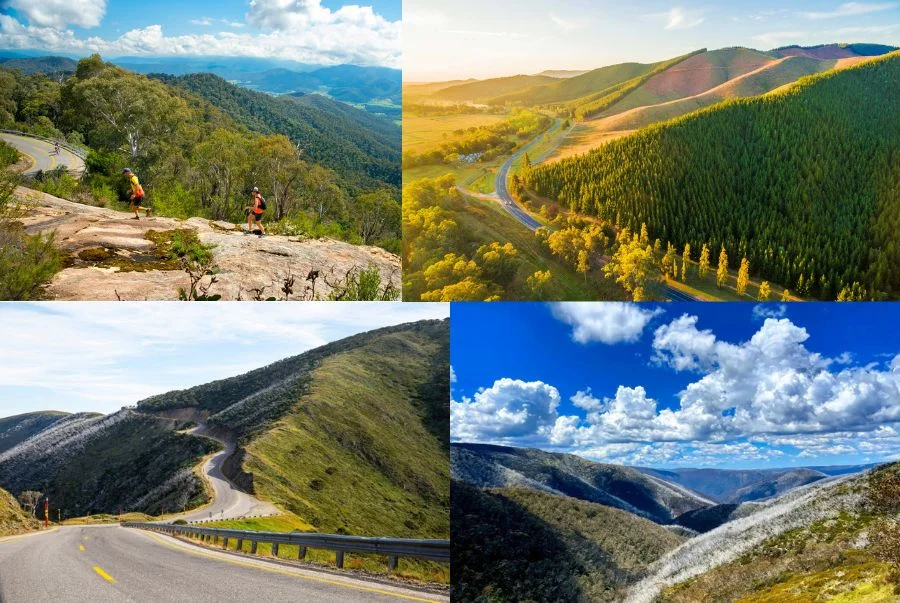 Great Alpine Road là một trong những scenic road ấn tượng nhất tại Victoria