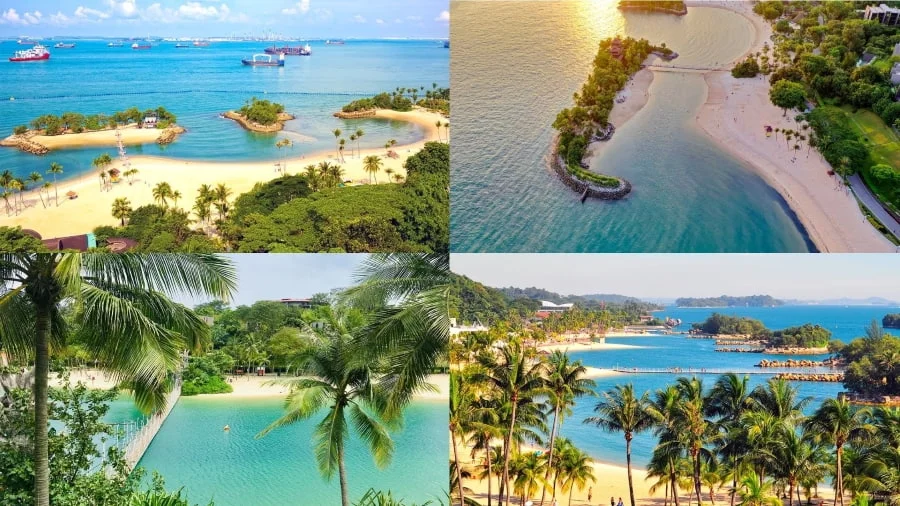 Sentosa là địa điểm check-in ở Singapore lý tưởng cho những bức ảnh mang phong cách nhiệt đới, với cát trắng mịn và hàng dừa xanh mát