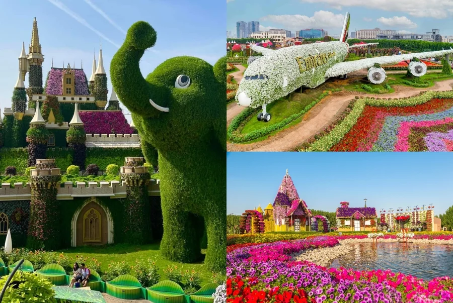 Miracle Garden là khu vườn hoa lớn nhất thế giới với hơn 50 triệu bông hoa