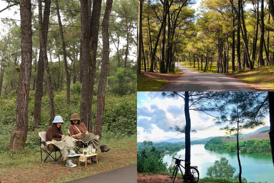 Đồi Thiên An là một trong những địa điểm check-in tự nhiên hoang sơ được nhiều bạn trẻ yêu thích