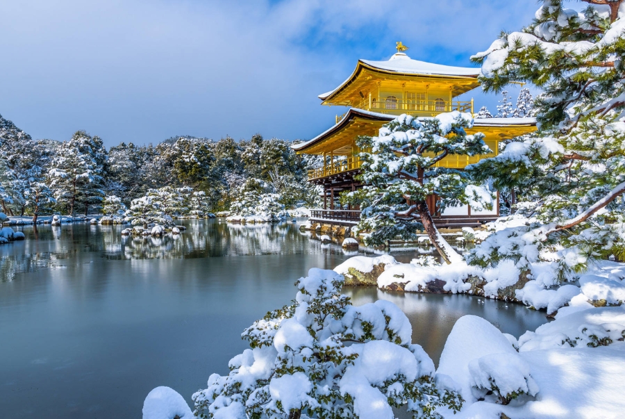 Điểm thu hút của chùa Vàng là khung cảnh mái chùa và cả khu vườn được bao phủ bởi tuyết trắng vô cùng thơ mộng