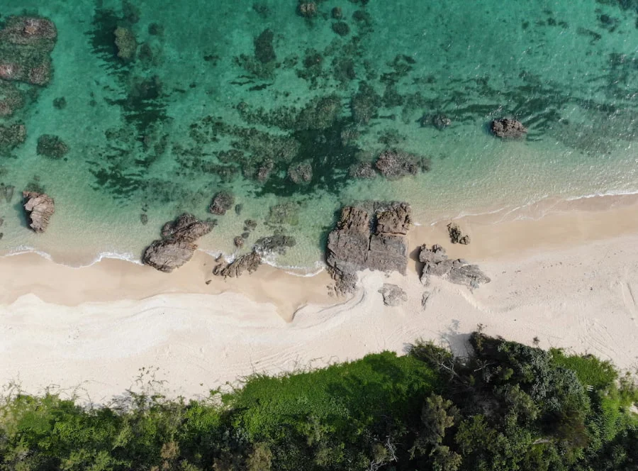 Điều khiến Emerald Beach trở nên đặc biệt chính là màu nước biển xanh ngọc lục bảo tuyệt đẹp, lấp lánh dưới ánh nắng mặt trời