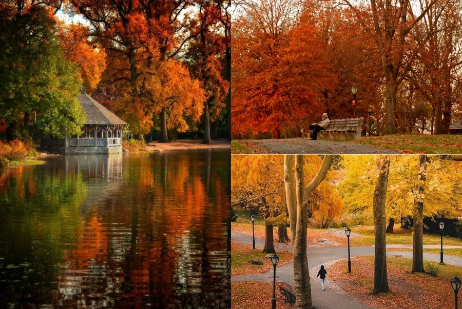 Không gian xanh mát của Prospect Park trở nên thơ mộng hơn mỗi khi thu về