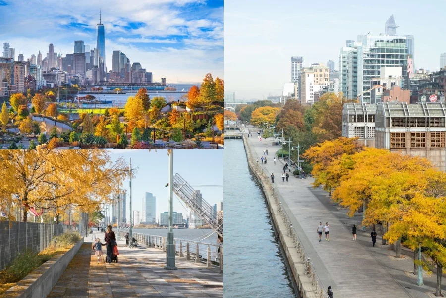 Dạo bước ở Hudson River Park bạn sẽ tận hưởng làn gió mát và sắc vàng trải dài bên dòng sông