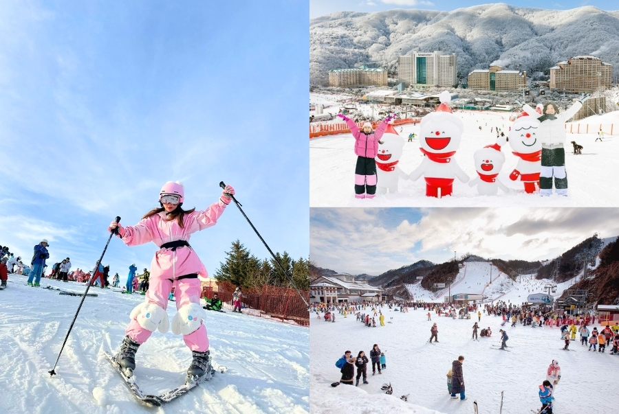 Trượt tuyết là một trải nghiệm được du khách mong chờ khi đi tour Hàn Quốc dịp Tết