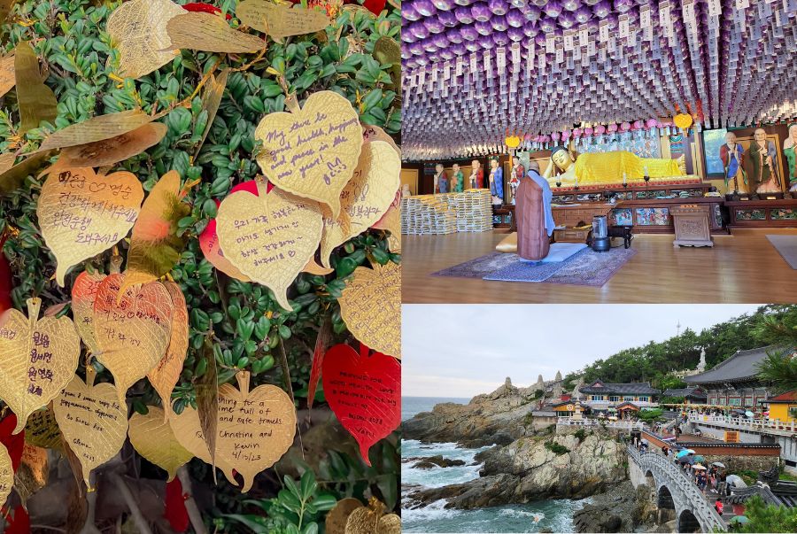 Khung cảnh trang nghiêm tại đền Haedong Yonggungsa 