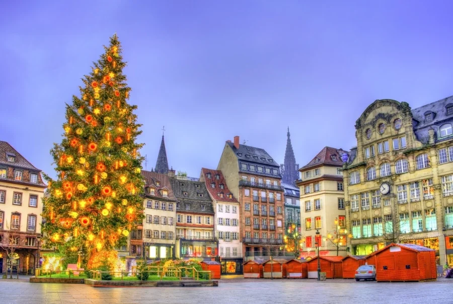 Điểm nhấn của chợ Giáng sinh Strasbourg là cây thông khổng lồ được trang trí rực rỡ