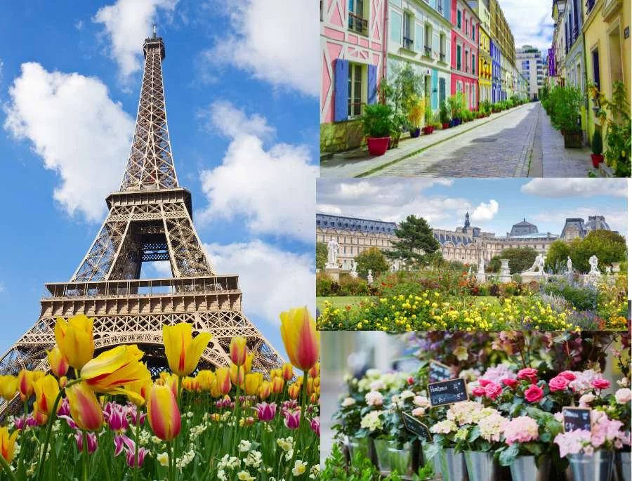 Paris vào mùa xuân được ví như một bản giao hưởng của màu sắc và âm thanh