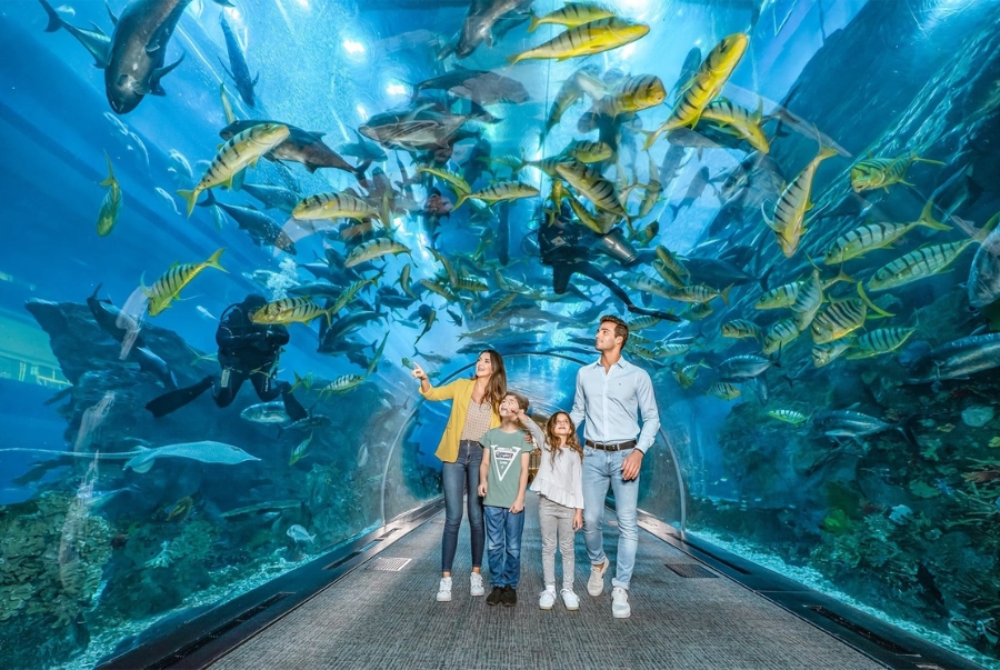 Ngoài việc chiêm ngưỡng các sinh vật biển Dubai Aquarium còn có nhiều dịch vụ trải nghiệm khác