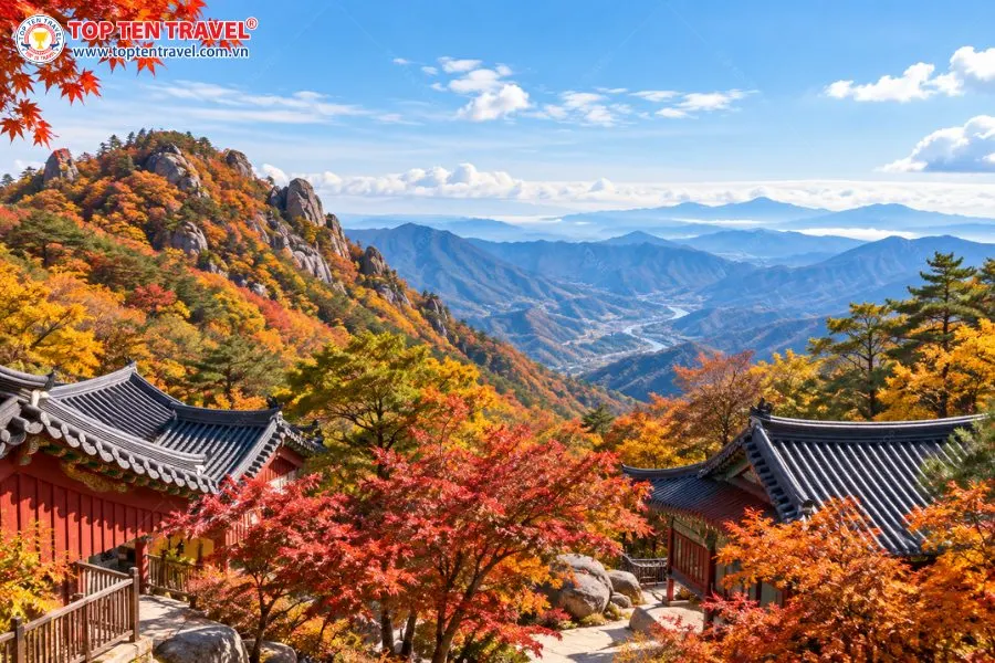 Ngọn núi Jirisan sở hữu vẻ đẹp đầy huyền bí và ảo diệu khi được sương mù bao phủ gần như quanh năm