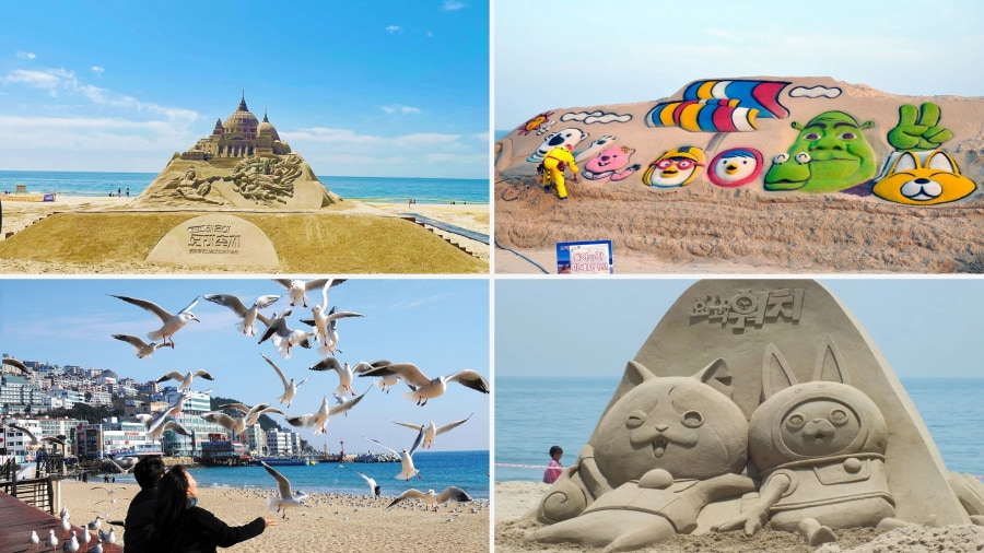 Tham gia vào các lễ hội biển sôi động chắc hẳn sẽ là một trải nghiệm thú vị tại Busan mùa hè mà bạn không nên bỏ lỡ