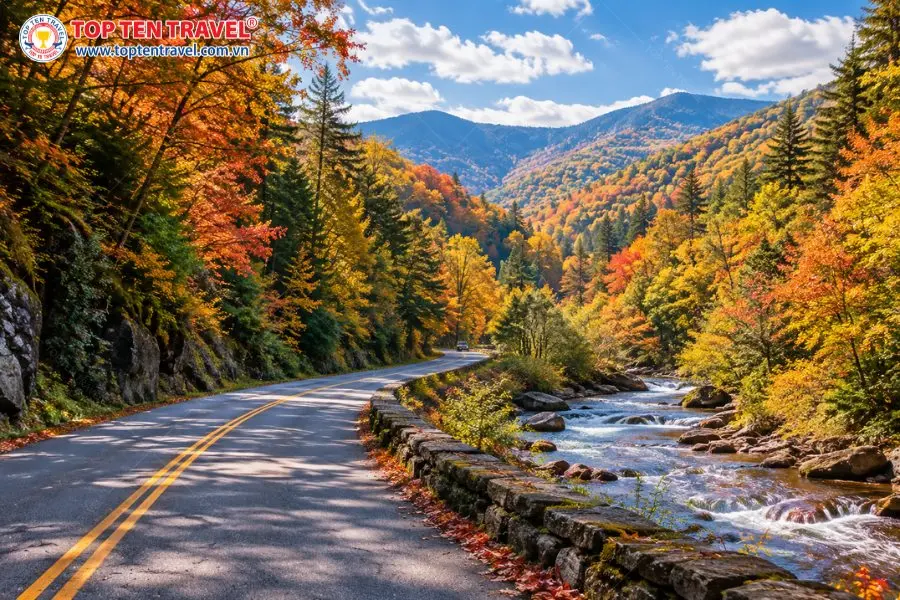 Roaring Fork Motor Nature Trail uốn mình giữa rừng cây rực rỡ của Great Smoky Mountains