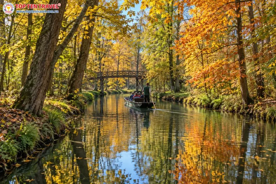 Vẻ đẹp yên bình trên sông tại khu vực rừng  Spreewald