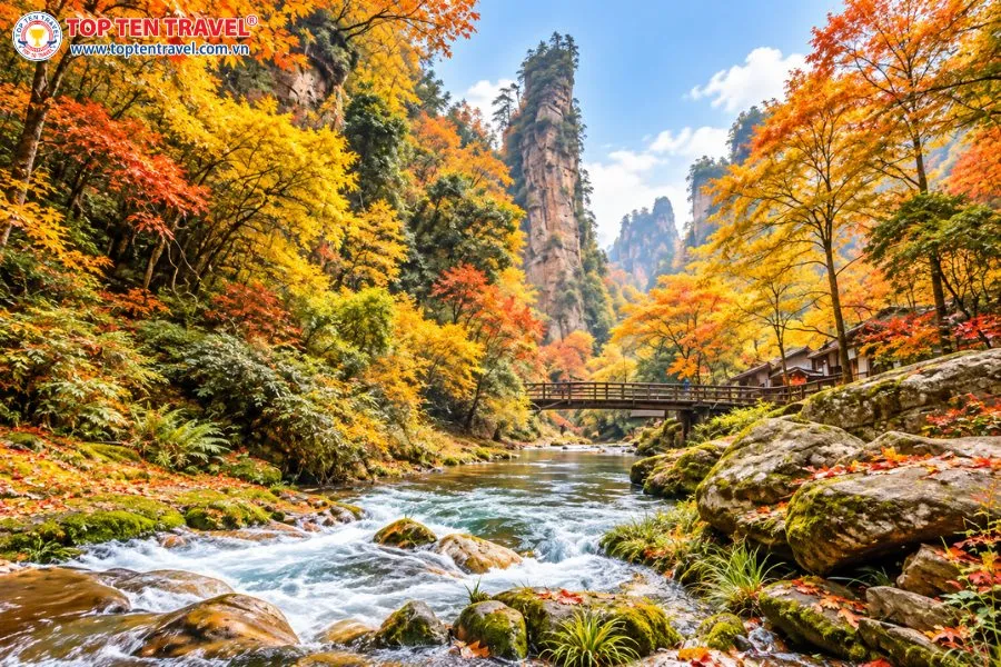 Suối Kim Tiên mang đến không gian yên bình với dòng nước len lỏi qua những tảng đá, bao quanh là núi rừng chuyển sắc vào mùa thu