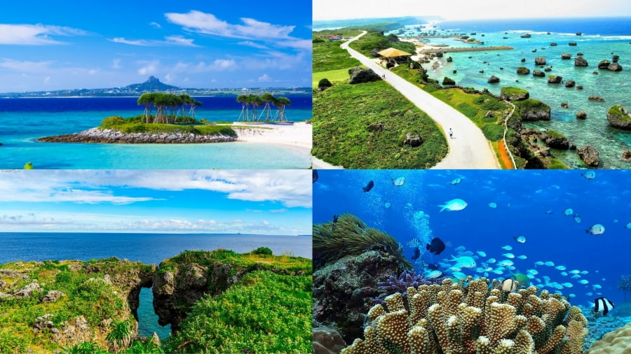 Okinawa thực sự là một thiên đường nhiệt đới, nơi mỗi khoảnh khắc đều là cơ hội để bạn đắm mình trong vẻ đẹp nguyên sơ