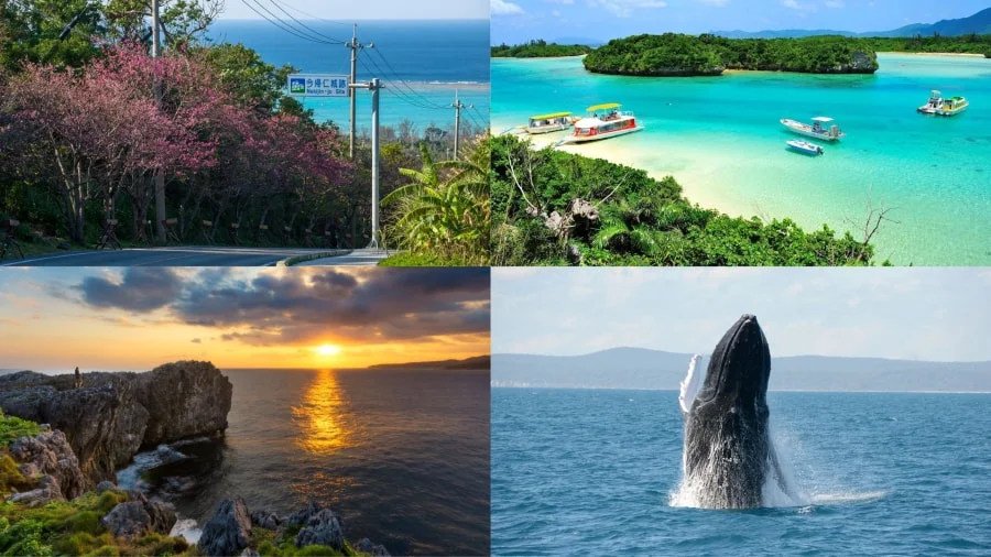 Thời tiết dễ chịu là một trong những lý do nên đi du lịch Okinawa vào bất kỳ thời điểm nào trong năm