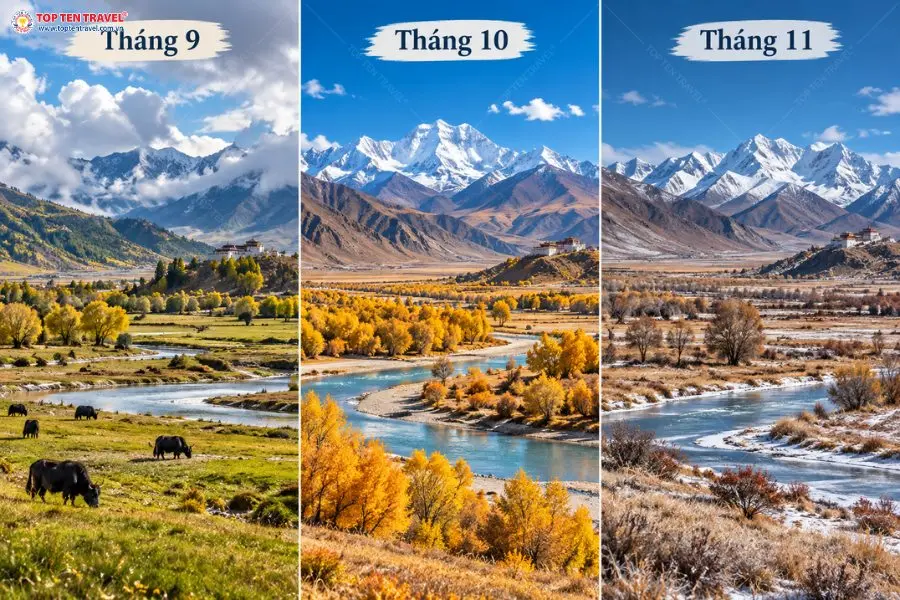 Từ tháng 9 đến tháng 11, Tây Tạng chuyển mình từ sắc xanh cuối hè sang mùa lá vàng rực rỡ rồi dần bước vào mùa đông lạnh giá