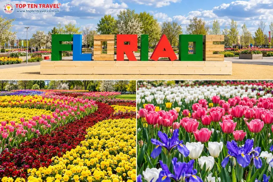 Khung cảnh lễ hội hoa Floriade Canberra với những thảm hoa mùa xuân đầy màu sắc