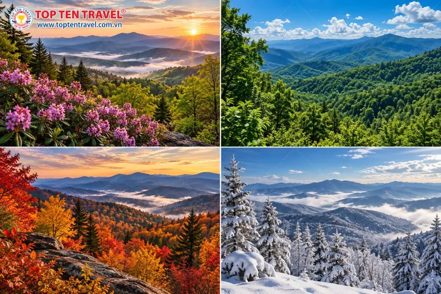 Great Smoky Mountains thay đổi cảnh sắc rõ rệt qua bốn mùa xuân, hạ, thu và đông