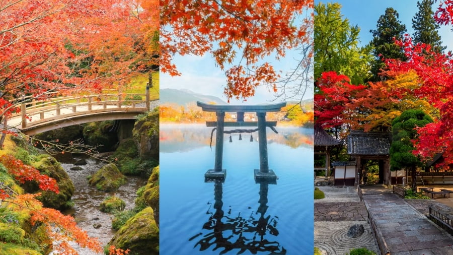 Hakone - Ngắm lá đỏ bên hồ Ashi và Núi Phú Sĩ